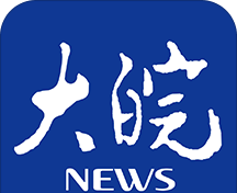 大皖新闻logo图