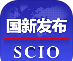 国新发布logo图
