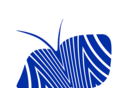 新华99logo图