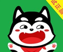 试正品logo图
