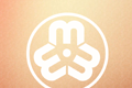 妇联舆情logo图