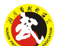 湖南武术logo图