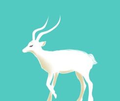 白羊兼职logo图
