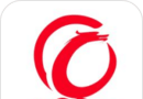 龙山同城logo图