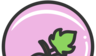 ICOO儿童摄影logo图