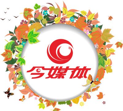 今媒体logo图