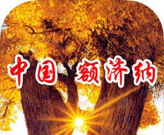 中国额济纳logo图