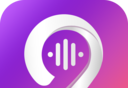 九秀语音logo图