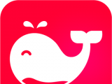 鲸鱼生活logo图