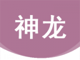 神龙资讯logo图