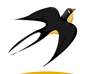 飞燕网logo图