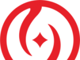 南阳大宗自贸logo图