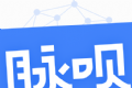 脉呗logo图