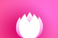 探美logo图