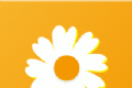 雏菊资讯logo图