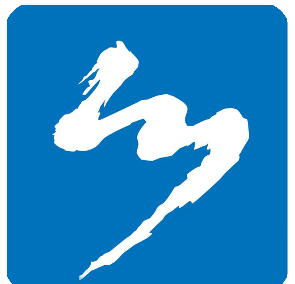 桦川融媒logo图