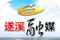 遂溪融媒logo图