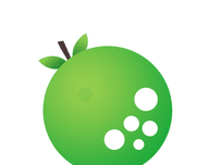 轻果小说logo图