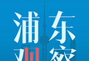 浦东观察logo图