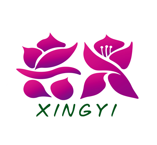 多彩兴义logo图