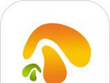 掌上云街logo图