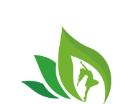 健康好管家logo图