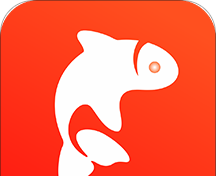 飞鱼优品logo图