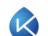 凯茵智采logo图