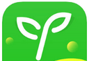 沪江网校logo图