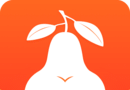 pear雪梨logo图