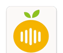 776.t∨柚子logo图