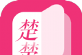 楚楚小说logo图