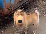 炫狗盒logo图