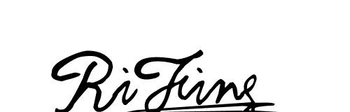 RiFing加固器logo图