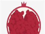 石榴影视logo图