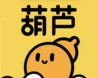 飞象小说logo图