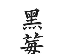 黑莓浏览器logo图