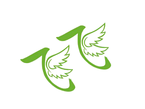 飞飞TVlogo图