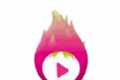 火龙果影视logo图