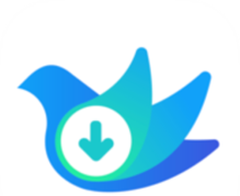 云雀视频下载助手logo图