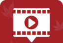 红叶影频TVlogo图