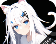 次元城动画logo图