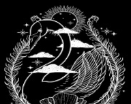 天鹅影视logo图