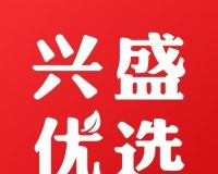 兴盛优选logo图