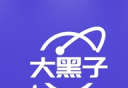 大黑子TVlogo图