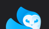 lightleaplogo图