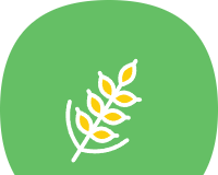 麦子下载logo图