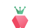 树莓小说阅读器logo图