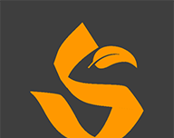 SOL健身logo图