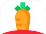 萝卜小说网logo图